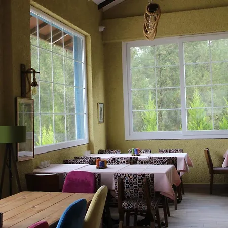 Cozy Apart Surrounded By Nature In Selcuk Bed & Breakfast *